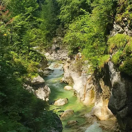 Alpenchalet Almrose アパートホテル アウフファッハ