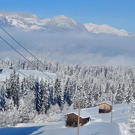 Alpenchalet Almrose 아우파흐