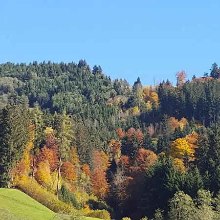 Ξενοδοχείο με διαμερίσματα Alpenchalet Almrose Auffach
