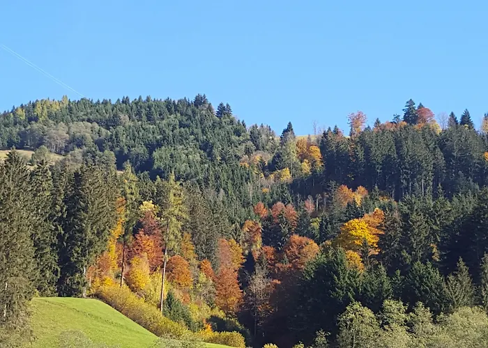 Aparthotel Alpenchalet Almrose Auffach