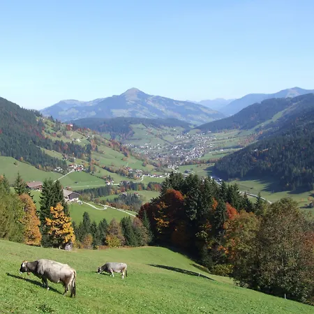 Aparthotel Alpenchalet Almrose Auffach