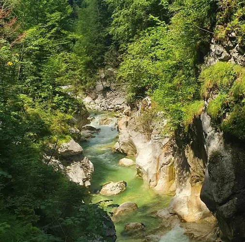 Alpenchalet Almrose Apartmanhotel Auffach