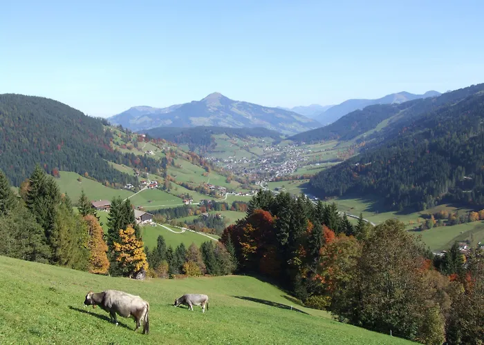 Apartmanhotel Alpenchalet Almrose Auffach