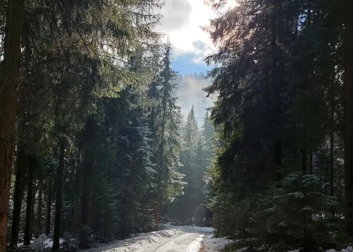 Aparthotel Alpenchalet Almrose